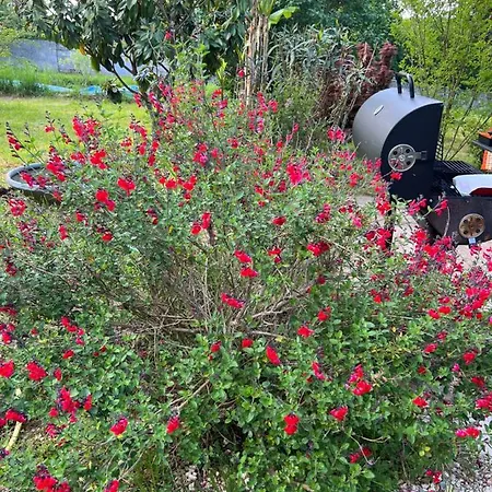 Casa vacanze Le Loriot