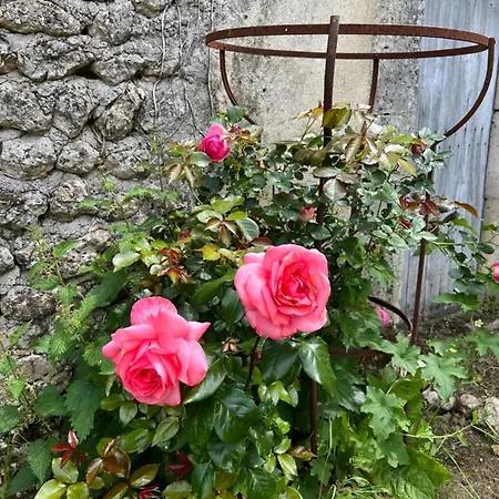 Le Loriot * Champagne-et-Fontaine