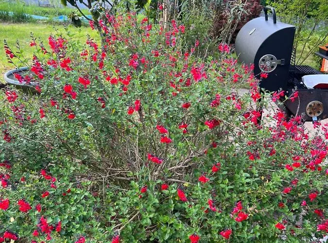 Hébergement de vacances Le Loriot